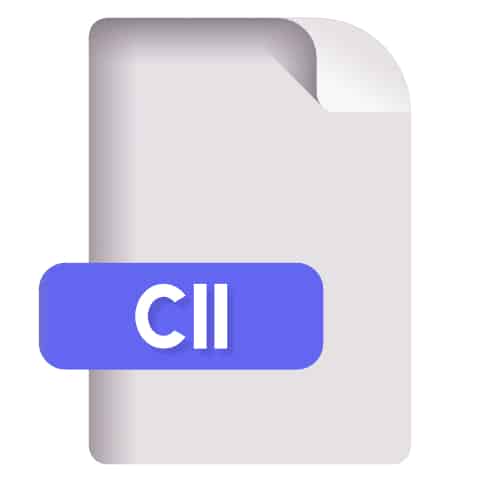 Format CII facture électronique